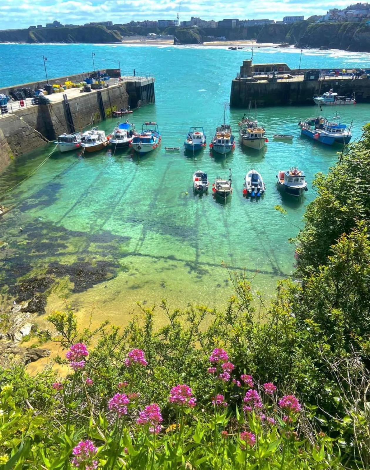 Shore Lodge New Quay Kültér fotó